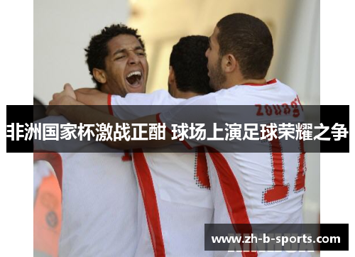 非洲国家杯激战正酣 球场上演足球荣耀之争