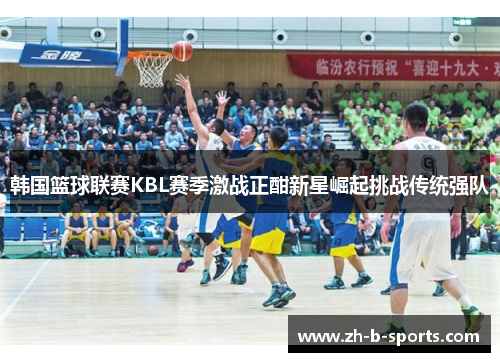 韩国篮球联赛KBL赛季激战正酣新星崛起挑战传统强队
